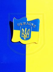 Значок UKRAINE 🇺🇦 D308 D308 фото