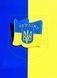 Значок UKRAINE 🇺🇦 D308 D308 фото
